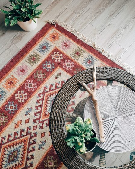 green plant on red and white area rug