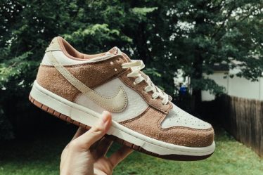 person holding white and brown nike athletic shoe